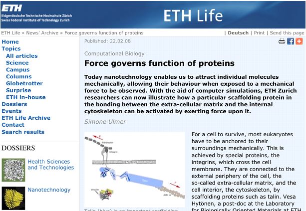 Enlarged view: Force governs function of proteins