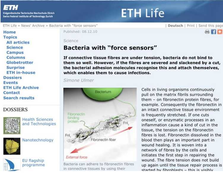 Enlarged view: Bacteria with force sensors